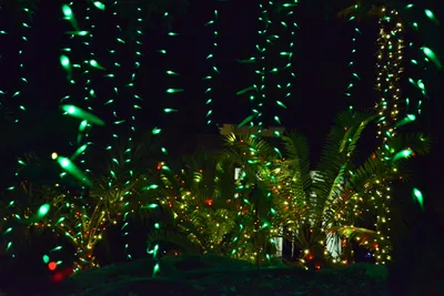 DSC_6978 (Large).JPG